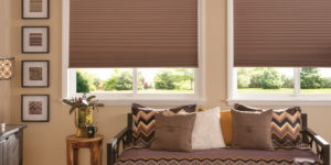 Blackout Cellular Shades